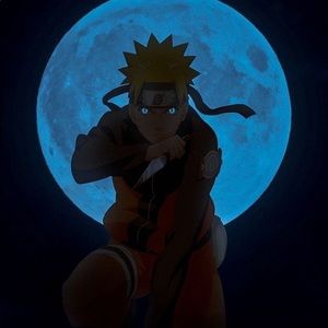 Meet your Posher, Erik